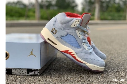 CI1899-400 "ICE AIR JORDAN ROOM RETRO BLUE" 5 TROPHY X 0726